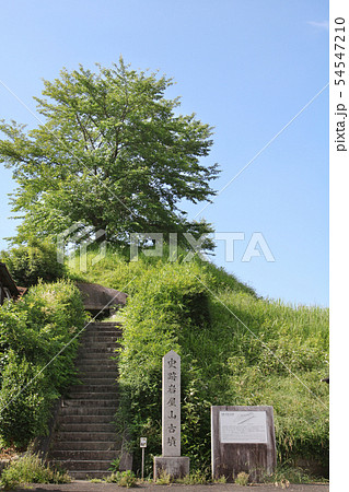 奈良県　岩屋山古墳 54547210
