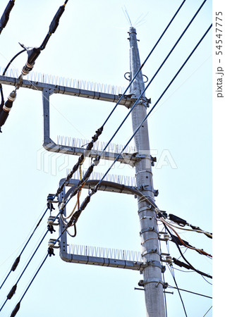 巣作り防止対策の施された電信柱 54547775