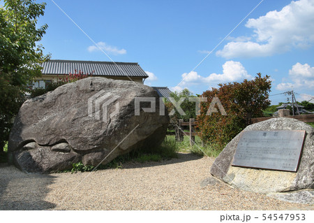 奈良県　飛鳥村　不思議な石の亀石 54547953