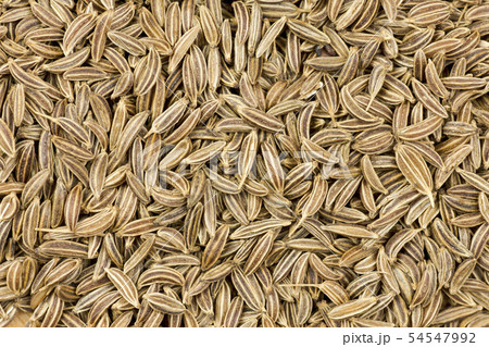 Close-up photo of splinted caraway surface - Close-up photo of splinted caraway surface - 54547992