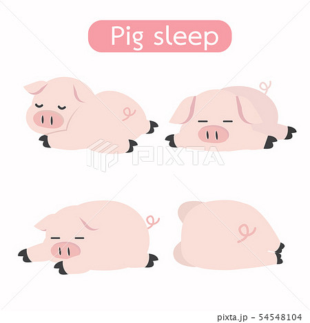 Cute Sleeping Pig Cartoon Vector Setのイラスト素材