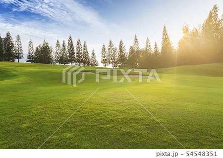 Green grass field on hills blue sky with clouds. 54548351