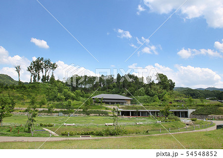 奈良県　明日香村　キトラ古墳 54548852