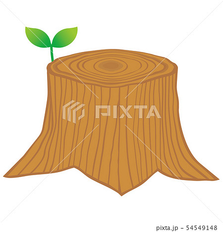 切り株 54549148