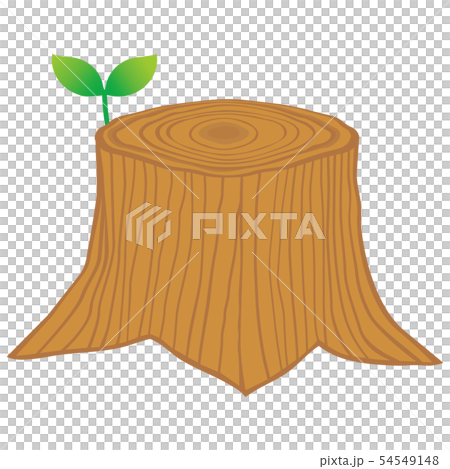切り株 54549148
