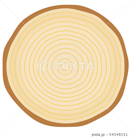 年輪 木のイラスト素材