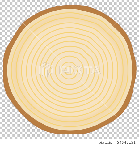 年輪 木のイラスト素材
