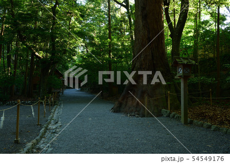 伊勢神宮内宮より 伊勢神宮内宮より 54549176