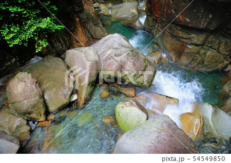 夕森公園 54549850