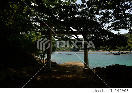 楯ヶ崎の阿古師神社 54549963