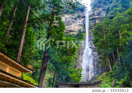 新緑の那智の滝　【和歌山県東牟婁郡】 54550013