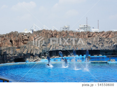 名古屋港水族館 54550600