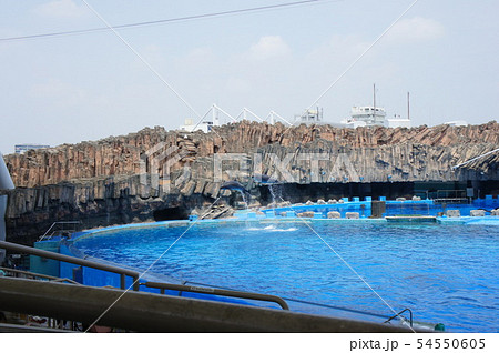 名古屋港水族館 54550605