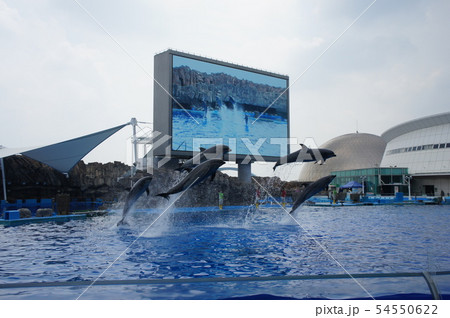 名古屋港水族館 54550622