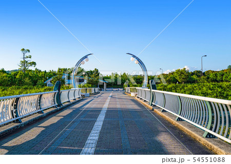 岡崎中央総合公園の風景 岡崎中央総合公園の風景 54551088