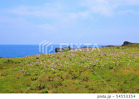雲 快晴 景色 54553354