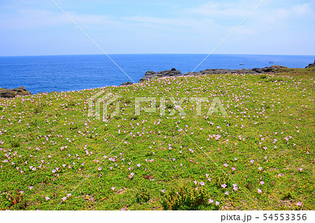雲 快晴 景色 54553356