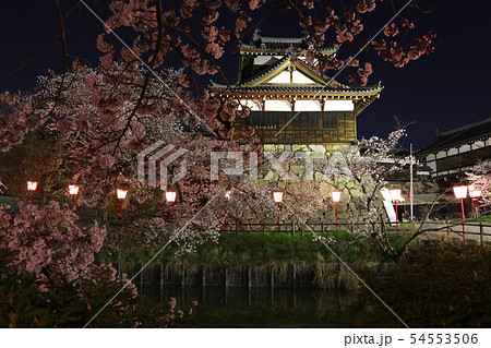 大和郡山城跡、追手向櫓と夜桜「日本のさくら名所100選」 54553506