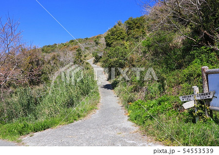 淡路島南端に浮かぶ離島「沼島」/沼島灯台へゆく遊歩道と新緑/日本遺産 54553539