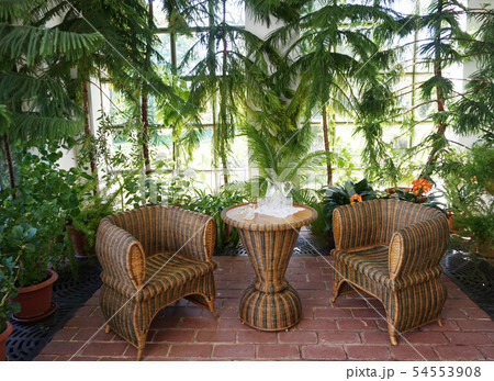 small winter garden with tropical plants 54553908