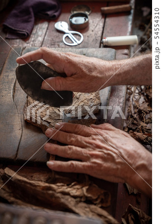 Cigar rolling or making by torcedor in cuba 54554310
