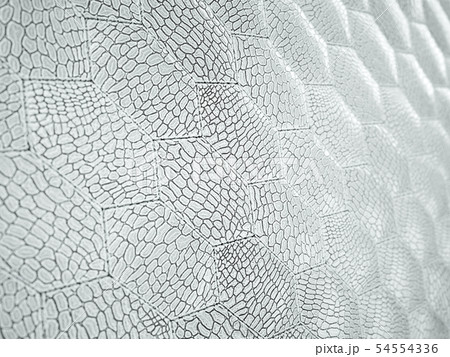 Alligator or crocodile white Leather hexagon 54554336