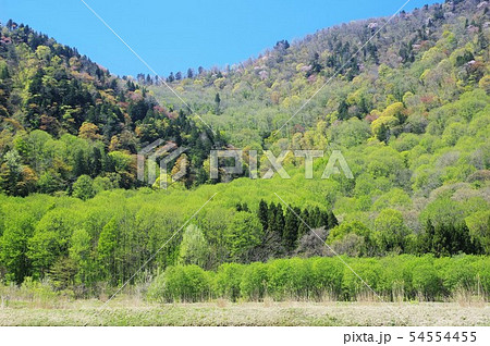 新緑の佐渡 54554455