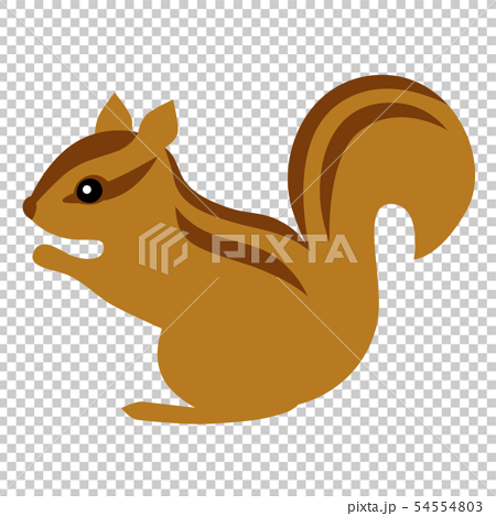 Squirrel Chipmunk Stock Illustration