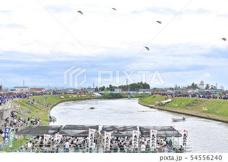 白根大凧合戦　2019 54556240