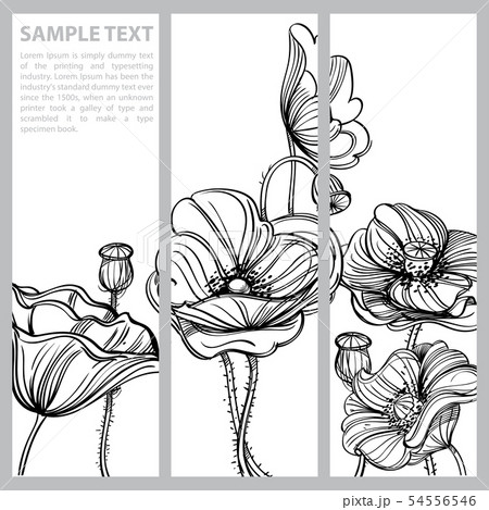 Set of vector vertical banners with hand drawn poppies on white background. Set of vector vertical banners with hand drawn poppies on white background. 54556546