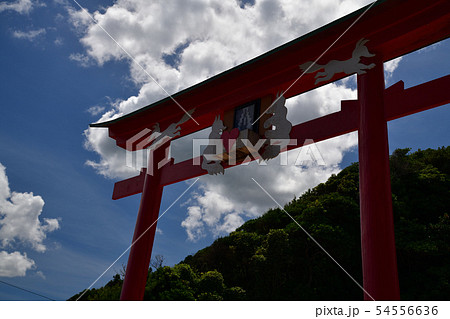元乃隅神社より 54556636