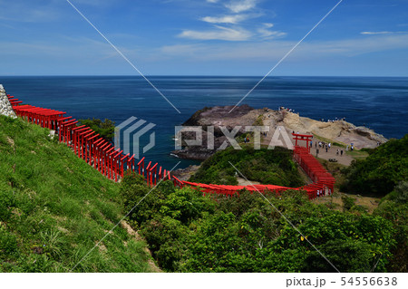 元乃隅神社より 元乃隅神社より 54556638