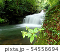 滝 54556694