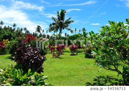 サモア　ウポル島　国立公園 54556715