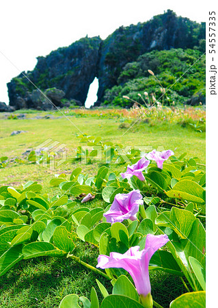 久米島のパワースポット「ミーフガー」 久米島(沖縄県)の観光名所や絶景ポイント 久米島のパワースポット「ミーフガー」 久米島(沖縄県)の観光名所や絶景ポイント 54557335