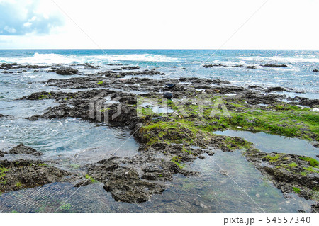 熱帯魚の家　久米島（沖縄県）の観光名所や絶景ポイント 54557340