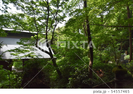 鎌倉市 妙法寺 鎌倉市 妙法寺 54557465