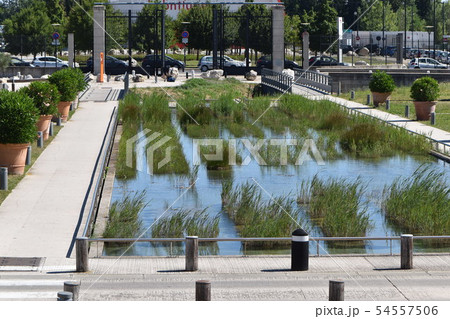 アヴニョンTGV駅 アヴニョンTGV駅 54557506