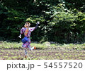 呼びかける案山子 54557520