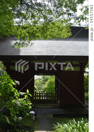 鎌倉市 妙法寺 仁王門 鎌倉市 妙法寺 仁王門 54557562