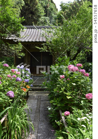 鎌倉市 妙法寺 大覚殿 鎌倉市 妙法寺 大覚殿 54557658