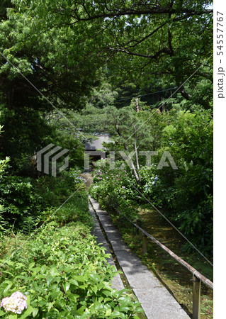 鎌倉市　妙法寺　仁王門 54557767