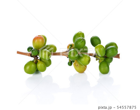 Green coffee beans isolated on white Green coffee beans isolated on white 54557875