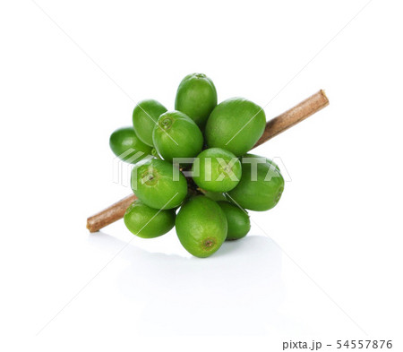 Green coffee beans isolated on white 54557876