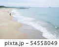海岸遊び 54558049