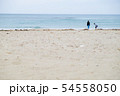 海と親子 54558050
