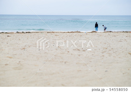 海と親子 54558050
