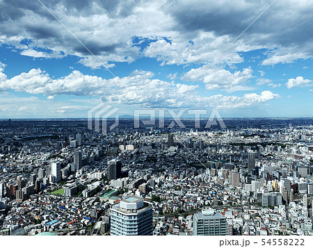59階からの眺望 54558222