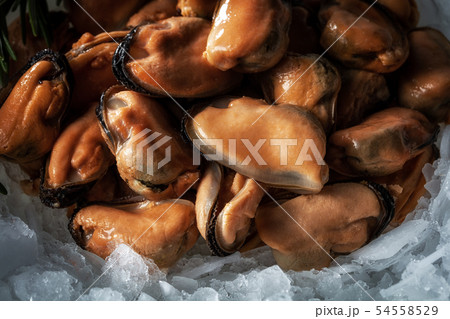 Sea delicacies. Fresh seafood. Mussels Sea delicacies. Fresh seafood. Mussels 54558529