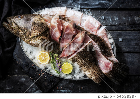Sea delicacies. Fresh seafood. Fish Grouper 54558587